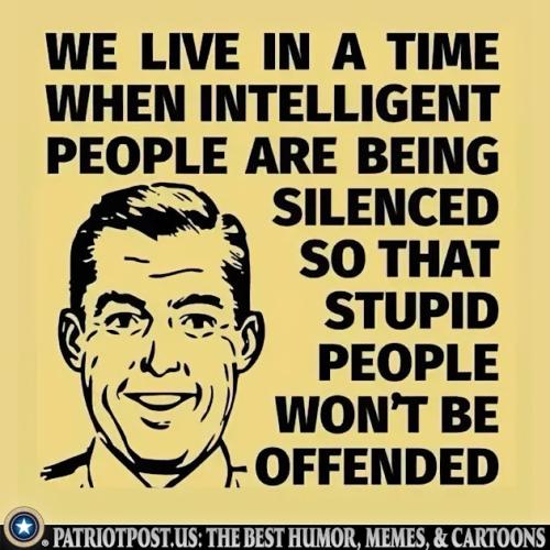 01K6G0Z0X9YC669571J43HVPY3