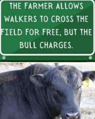 560413186_1367303732066216_1260440094020227790_n