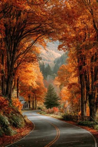 552307802_122104931271013086_4189471498676486342_n