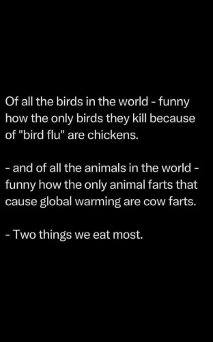 image_2025-10-15_064708506