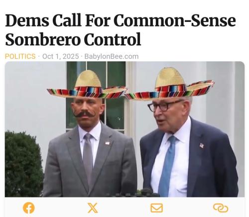 Screenshot_20251002_115248_Samsung Internet