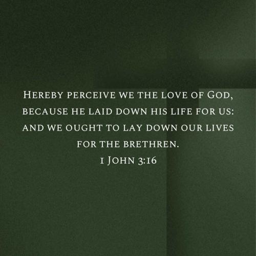 B1F78542-0EB8-46DD-8903-25AB9A6308BA