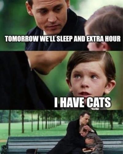 image_5015B3C2-2A22-4BC3-B195-FE111A97AC82