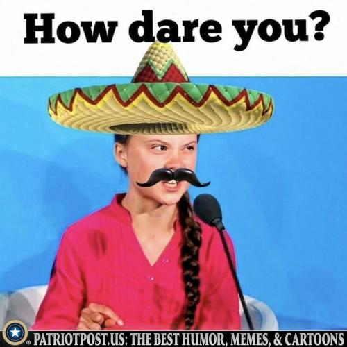 01K71ZSF91476QQZEDTT6NA7W8