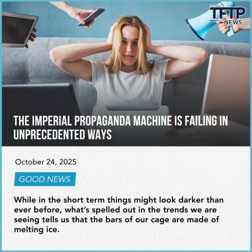 45213345345353134345345