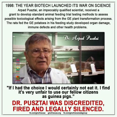 561356010_1198286539003339_3147142736300262880_n