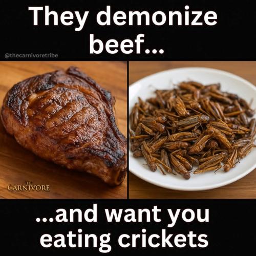 FB_IMG_1759765553742