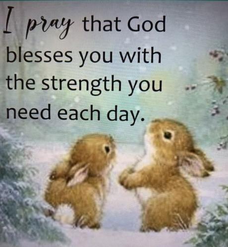 2a0407ce6ddf462b6b9406959b06e736