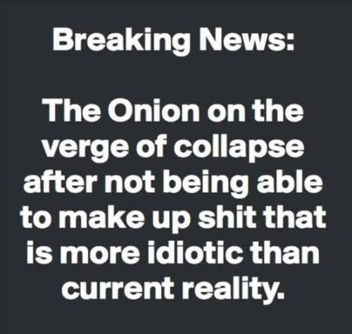 the onion