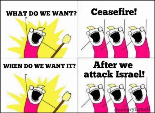 Israeli Attackers