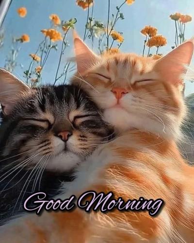 719b86dc637c8476e36b4825bda30718