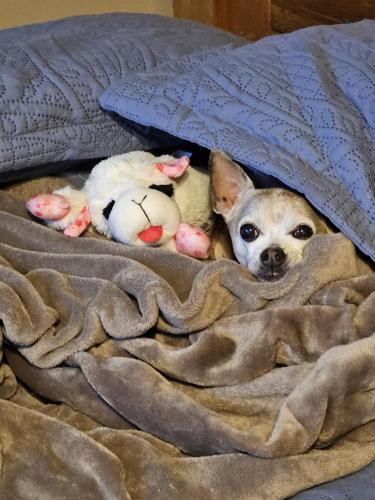 96799fa2-33e0-4cf2-bed9-38fb5ebd5ce6