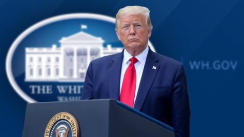 ,         418235313_73391130547