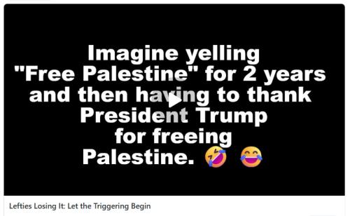 Lefties losing it screenshot