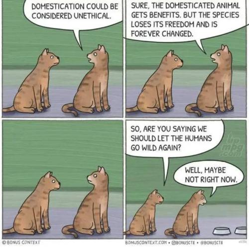 main-qimg-b9ed86b34adde46a748bb4fc13c984e9