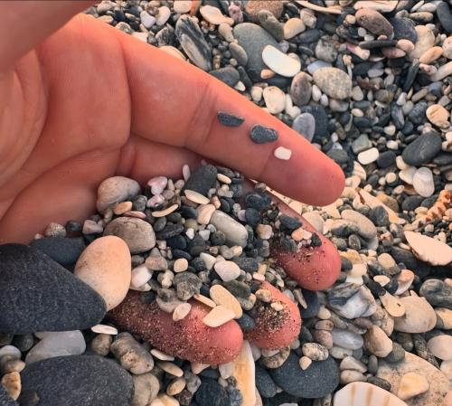 6838D1F7-5F30-4B99-8899-0A03181EE2B4