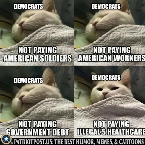 01K7T121W2BPRKGR3Q9Q4V43R2