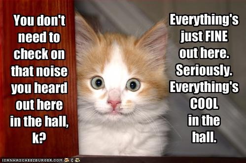 6cc7283e295dec514ab25eee68a24b5f