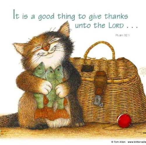 FB_IMG_1599862273244