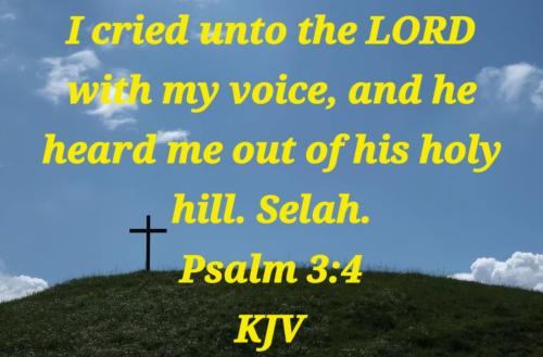 0baa2cd3-c1fb-4908-827f-0a26ec115f0a