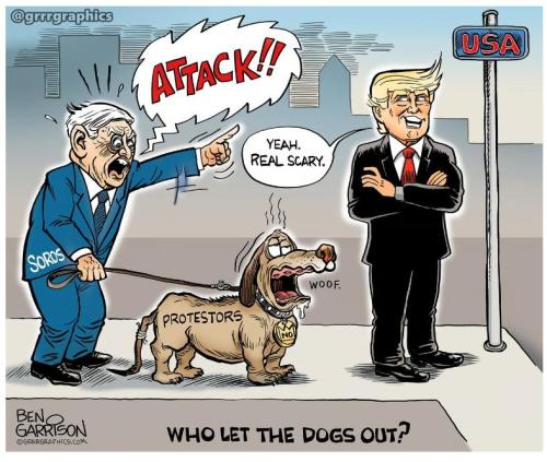 23f904f8-f69a-4301-ab57-359e0f741b3b