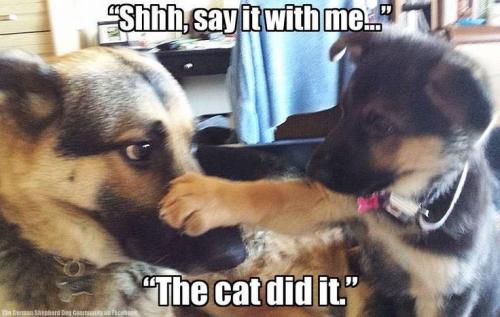 37867368a8379edcb29676441365ab98