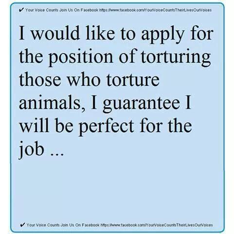 9773c962a8ea5bf236267bd489534d0c