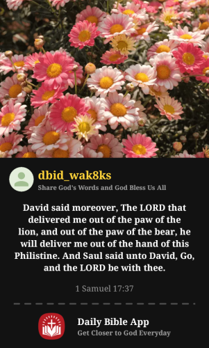 2025-10-281761697396012