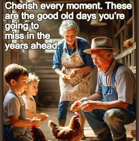 fda11469e4ad8c852c7e89505acecf62