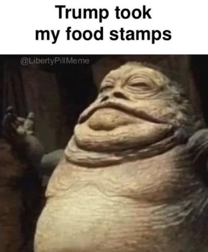 53b798a5-9f61-4ce0-affe-5afa6be0f0ca