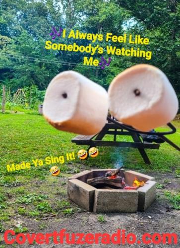 Screenshot_20251016_184952_Gallery