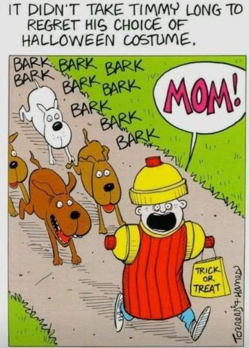 d6a66c91e1c7b5d49720fdec796d505f