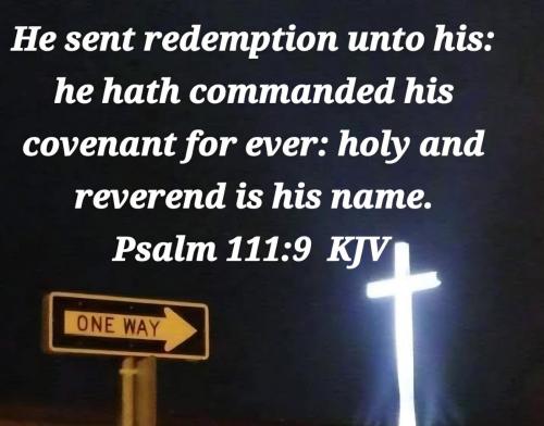 88cb3215-c7a4-49d4-baae-08f319534748