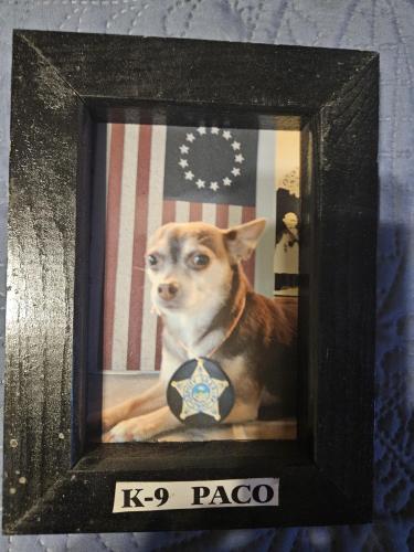 f96474ad-c2e3-437c-96c8-f7a28f3cbc44