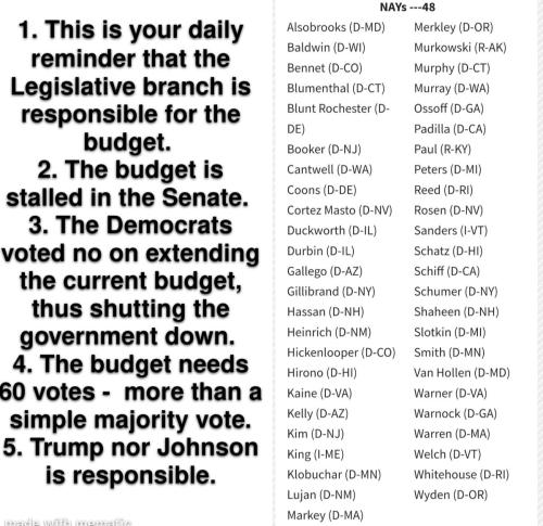 Democratic Responsibility 1