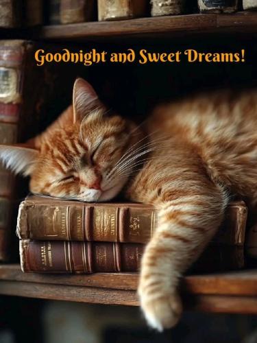 967ea1297e26a71a743c80172ec8994b