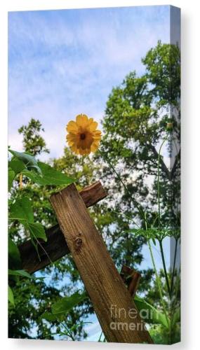 Screenshot_20251025_112040_Brave