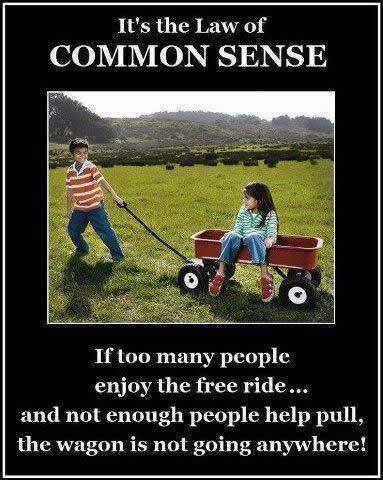 common_sense_1