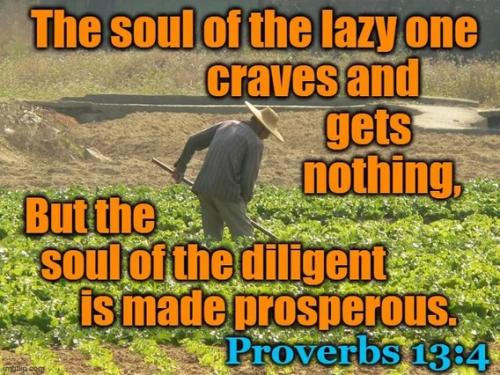 Souls of the diligent