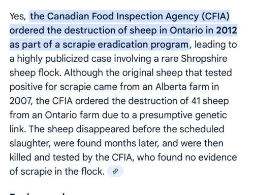 CFIA sheep