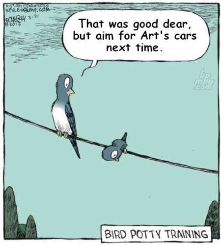 main-qimg-5d8f95186203a3bfe8bb3882a1dd7438