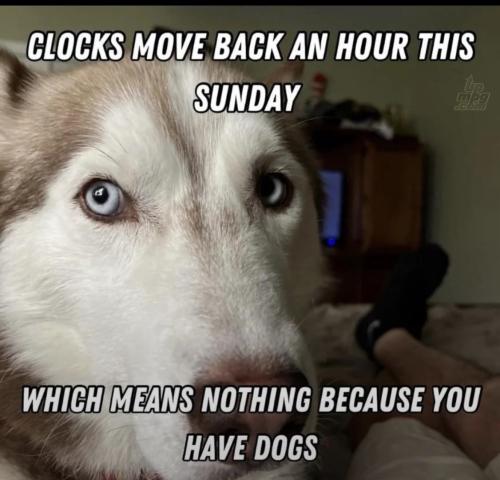 main-qimg-4b9d624e93853c67b10bf63d047a566f