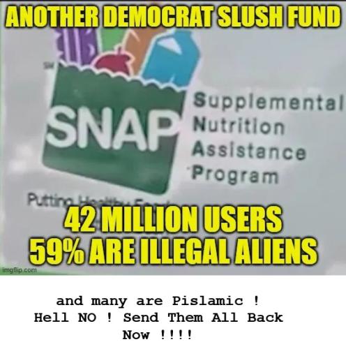 SNAP - most are illegal invaders sucking our taxes !!