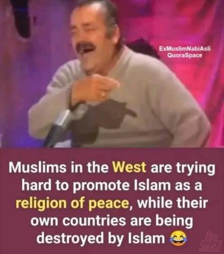 main-qimg-256150614edd5857570e561979edd297