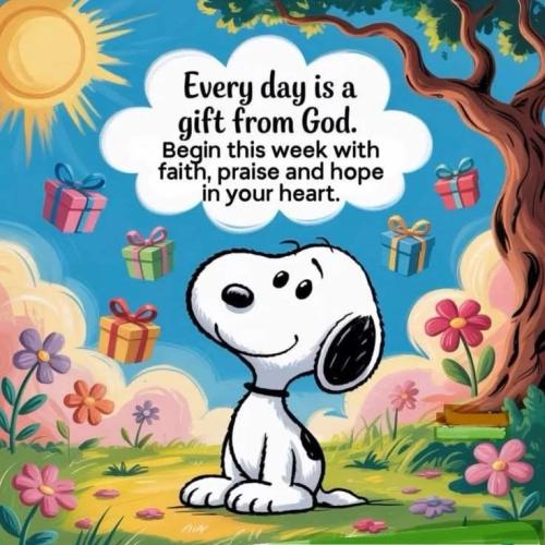 9d0813cdc23551f20f78d510a6288396