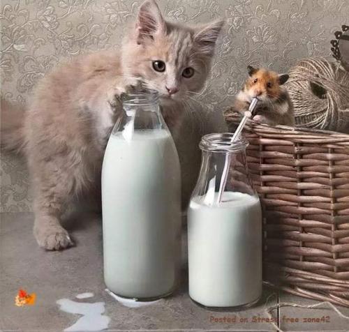 FB_IMG_1568422194286