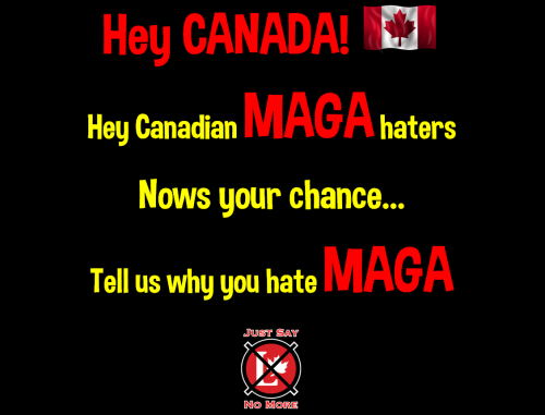 maga haters
