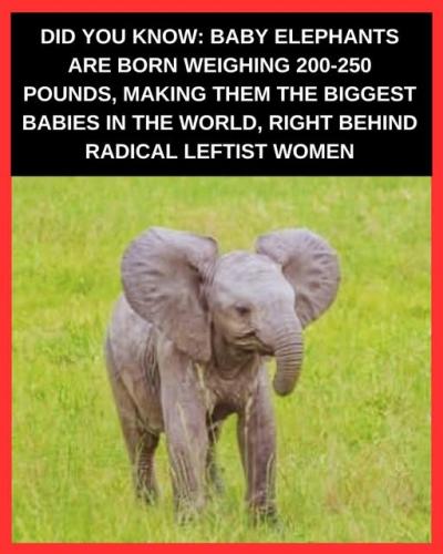 556889285_1329601338792800_5924315636770709619_n