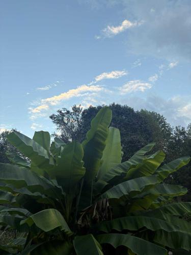 552834318_1533468177671464_6415587397249162194_n