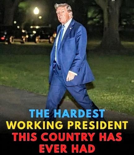 c9ec0c5f8cad53e3e3ab80842d14f496